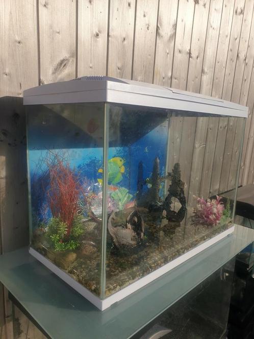 Te koop mooi ingericht aquarium Superfisch 100 !!, Dieren en Toebehoren, Vissen | Aquaria en Toebehoren, Zo goed als nieuw, Ophalen