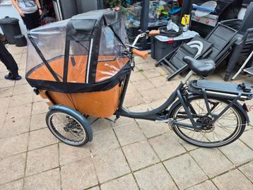 BABBOE CARVE E  beschikbaar voor biedingen