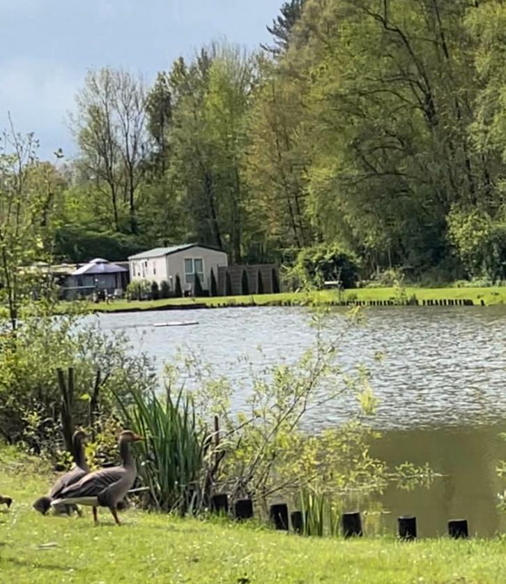 Buitenverblijf te Langdorp Aarschot, Immo, Buitenverblijven te koop
