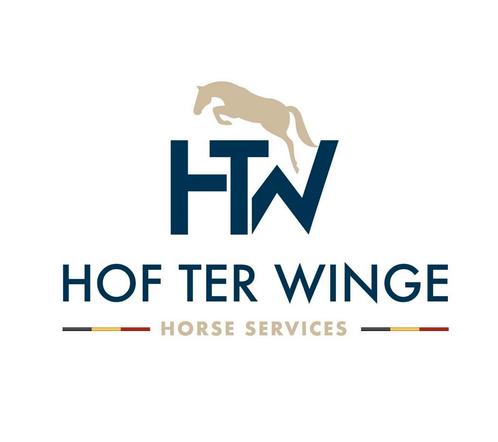 Zaldemak maken van pony's en paarden, Dieren en Toebehoren, Paarden