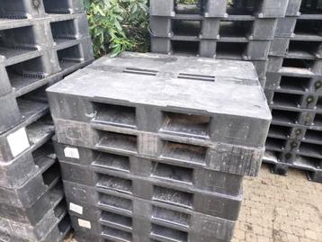 Kunststof paletten 100x120cm beschikbaar voor biedingen