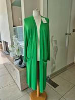 Lange gilet  NIEUW, Kleding | Dames, Overige Dameskleding, Ophalen of Verzenden, Nieuw