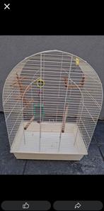 Cage oiseaux a donner ou petit prix je cherche ️, Animaux & Accessoires, Oiseaux | Cages & Volières, Enlèvement