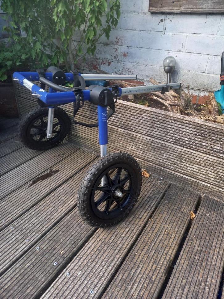 Honden rolstoel  'walkin pets', Dieren en Toebehoren, Overige Dieren-accessoires, Zo goed als nieuw, Ophalen