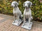 Engelse Jachthond, Pointer , Weimaraner, Tuin en Terras, Ophalen, Nieuw, Beton, Dierenbeeld