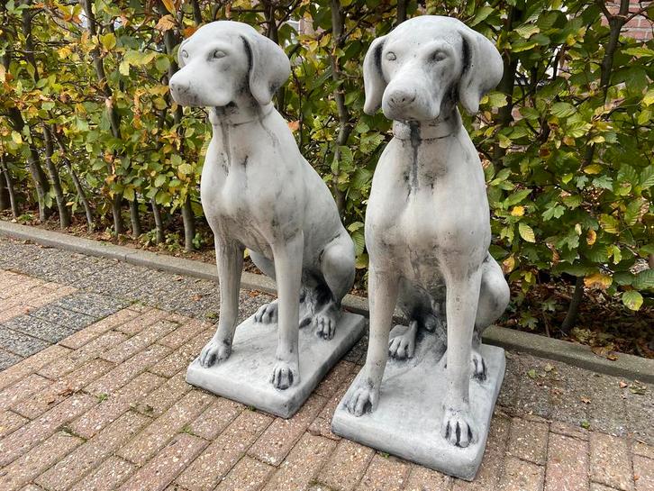 Engelse Jachthond, Pointer , Weimaraner, Tuin en Terras, Tuinbeelden, Nieuw, Dierenbeeld, Beton, Ophalen