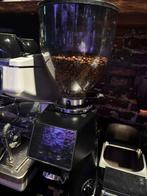 Koffiemolen Fiorenzato F64 Evo -2 stuks, Ophalen, Zo goed als nieuw