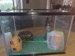 16 liter aquarium met deksel, Gebruikt, Ophalen