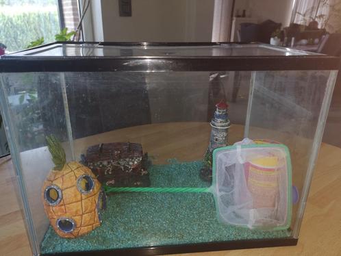 16 liter aquarium met deksel, Dieren en Toebehoren, Vissen | Aquaria en Toebehoren, Gebruikt, Ophalen