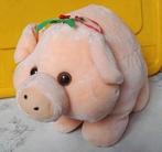 Varken knuffel, Kinderen en Baby's, Speelgoed | Knuffels en Pluche, Ophalen of Verzenden, Zo goed als nieuw