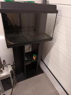 Juwel aquarium met kast,interne binnenfilter, verwarming, Dieren en Toebehoren, Ophalen