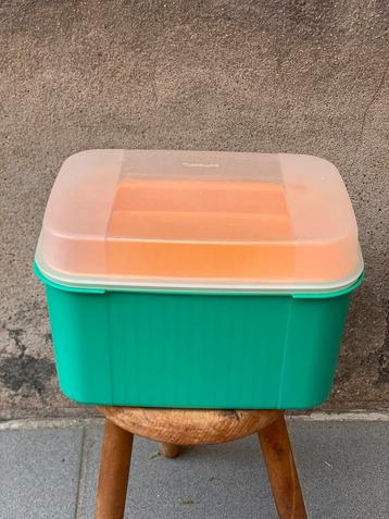 TUPPERWARE vintage koelbox (met draagriem) beschikbaar voor biedingen