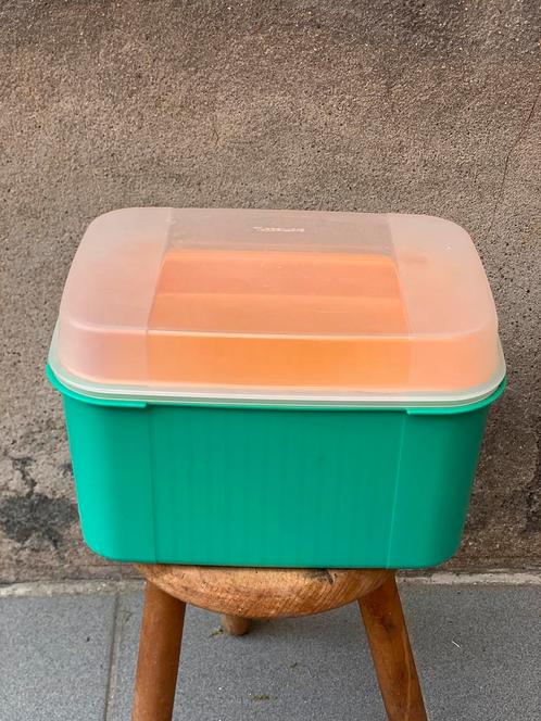 TUPPERWARE vintage koelbox (met draagriem), Caravans en Kamperen, Koelboxen, Koelbox, Ophalen