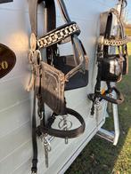 Kopstuk dubbel spantuig, Enlèvement