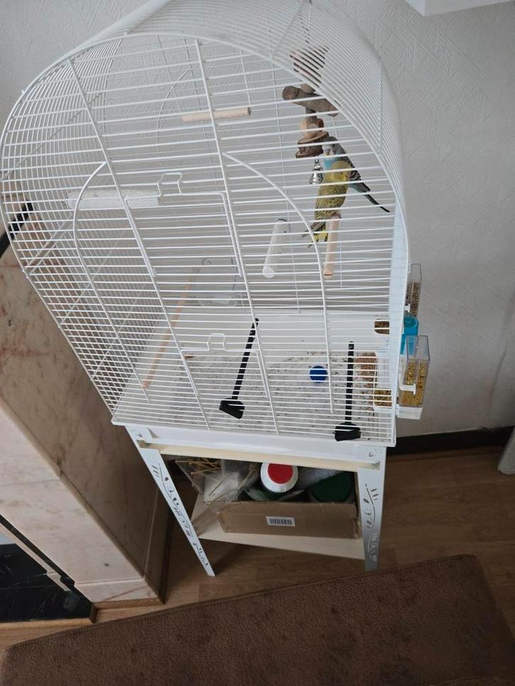 Cage volière, Dieren en Toebehoren, Vogels | Hokken en Kooien, Nieuw, Volière, Metaal, Ophalen