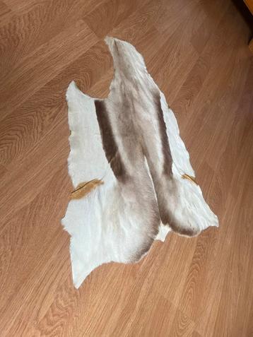 Tapis en forme de peau de chèvre beschikbaar voor biedingen