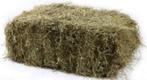 Kleine balen hooi, Zakelijke goederen, Landbouw | Veevoer, Ophalen