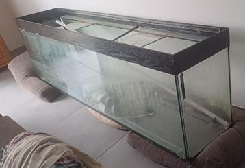 Aquarium L : 2m l: 40 cm H : 60cm + meuble même mesures beschikbaar voor biedingen
