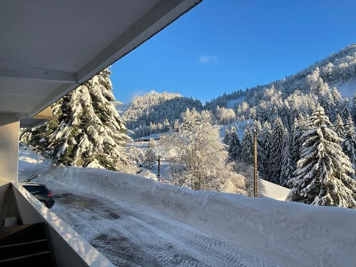 Leuke studio aan de voet van de pistes van de Vogezen, Immo, Buitenland, Frankrijk, Appartement, Recreatiepark