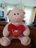 Nicky Toy Groote Varken 100cm, Kinderen en Baby's, Speelgoed | Knuffels en Pluche, Ophalen, Nieuw