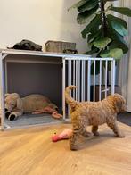 Hundos hondenbench, Dieren en Toebehoren, Ophalen, Gebruikt