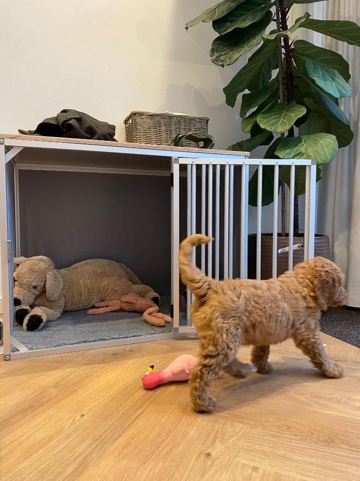 Hundos hondenbench, Dieren en Toebehoren, Hondenbenches, Gebruikt, Ophalen