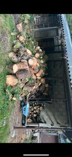 Brandhout, Tuin en Terras, Ophalen