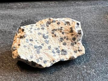 Jaspis dalmatiër ruwe steen 