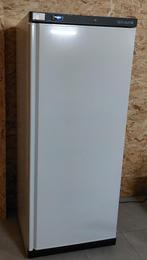 Bewaar-DIEPVRIEZER Professioneel, Elektronische apparatuur, Ophalen, Zo goed als nieuw, Vrijstaand, Vrieskast