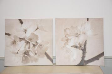 duo van bloesems op canvas beschikbaar voor biedingen