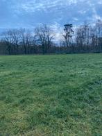 Gezocht weiland, Dieren en Toebehoren