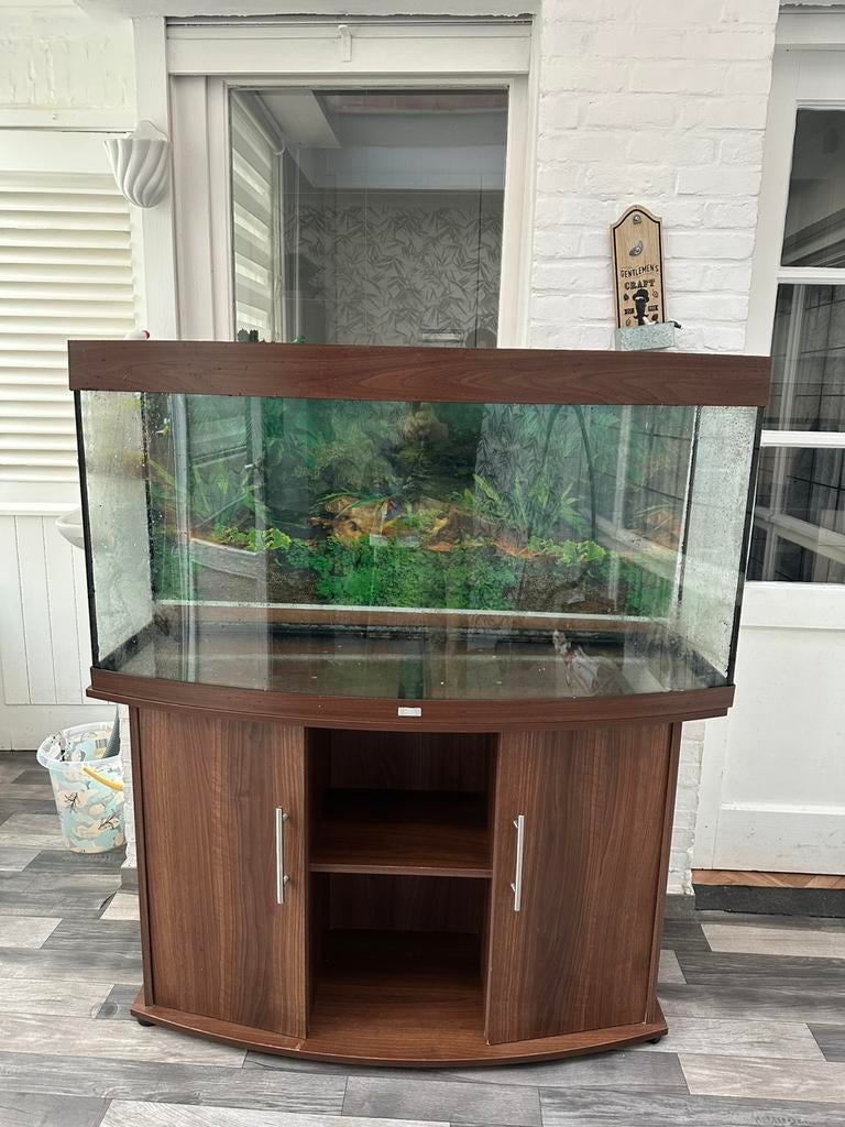 Te koop: Juwel Vision 260 aquarium met meubel, Dieren en Toebehoren, Vissen | Aquaria en Toebehoren, Ophalen, Zo goed als nieuw