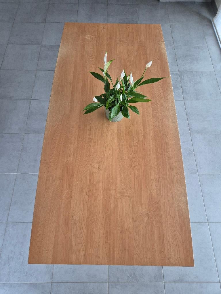 2de hands Meubel  Tafel, Huis en Inrichting, Tafels | Eettafels, Ophalen, Gebruikt, 50 tot 100 cm, Vijf personen of meer