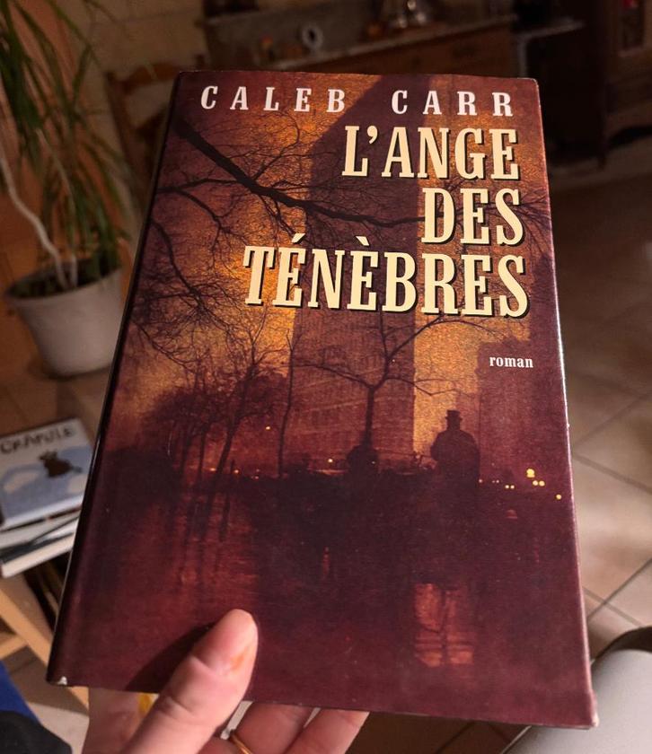 L'ange des ténèbres (Caleb Carr), Boeken, Detectives, Zo goed als nieuw, Ophalen of Verzenden