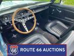 Ford Mustang Cabriolet | 1965 | Route 66 Auctions, Autos, Achat, Entreprise, Boîte manuelle, Autre carrosserie