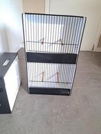 Tentoonstellingskooien, Dieren en Toebehoren, Ophalen, Gebruikt, Kunststof, Overige typen