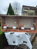 kooien, Ophalen, Nieuw, Hout, Broedkooi of Kweekkooi