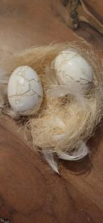 Paasdecoratie,2 stenen eieren, Diversen, Ophalen