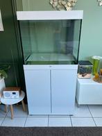 Aquarium juwel lido 200, Enlèvement, Comme neuf, Aquarium vide