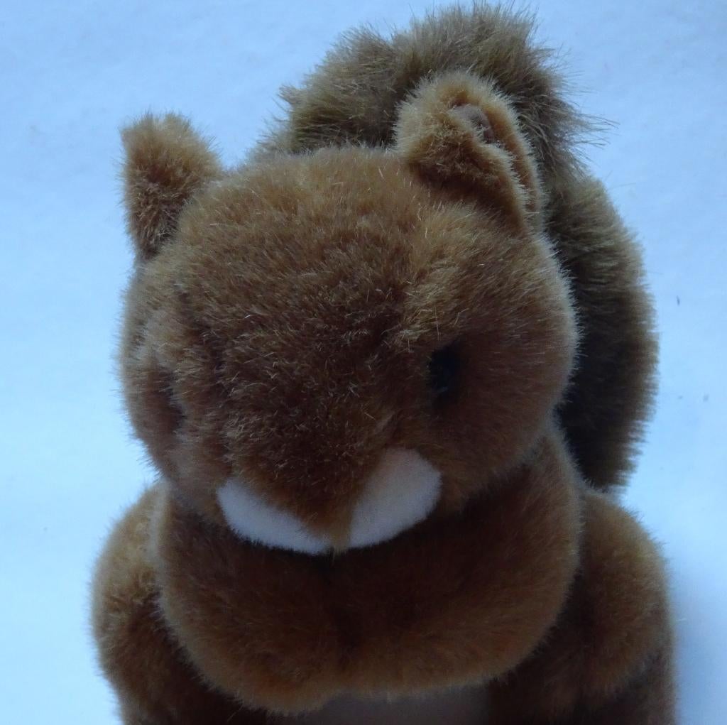 PELUCHE ECUREUIL, Enlèvement