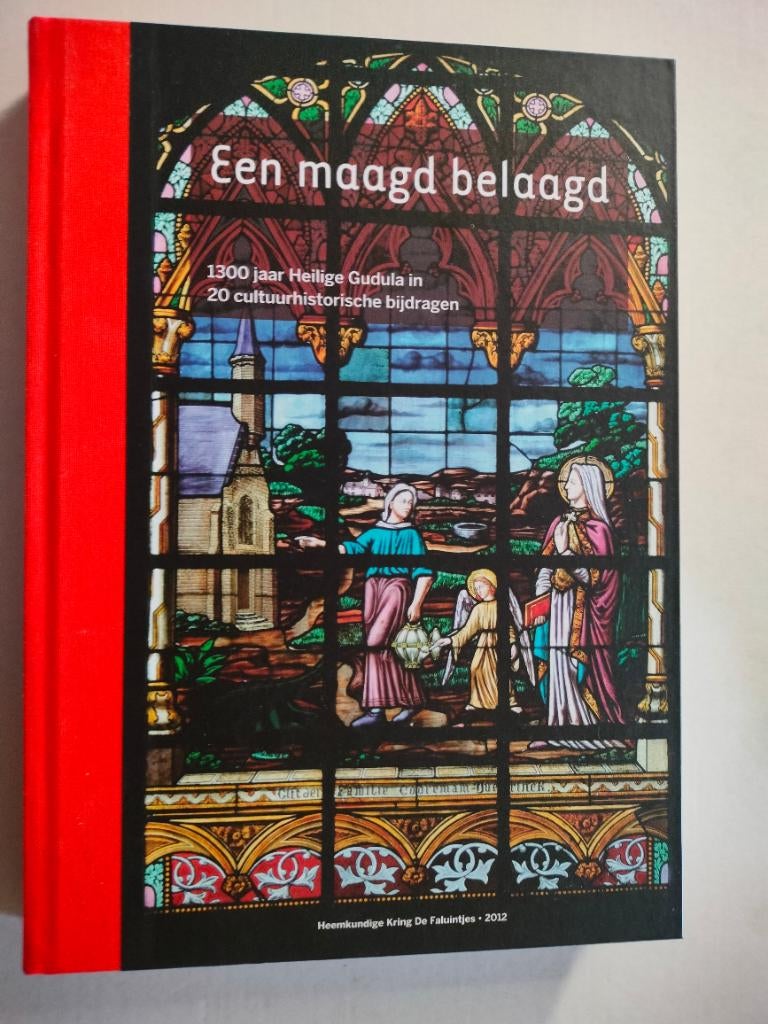 Histoire locale De Faluintjes vierge agressée depuis 1300, Livres, Histoire & Politique, Utilisé, 19e siècle, Enlèvement ou Envoi