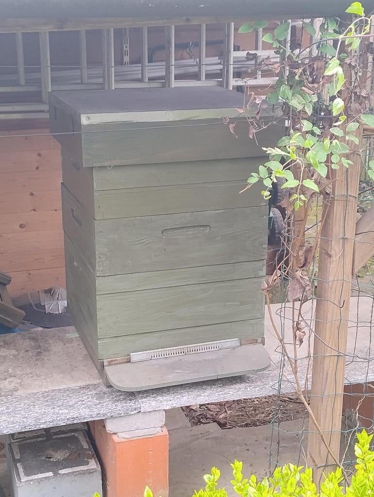 bijenkast, honingslingeraar en toebehoren (zeer goede staat)