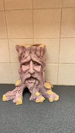 Aquarium Boomstam te denderbelle, Dieren en Toebehoren, Vissen | Aquaria en Toebehoren, Ophalen, Zo goed als nieuw