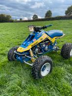 Suzuki quadzilla lt 500, Motos