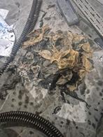 Déboucheur professionnel débouchage 0466221999