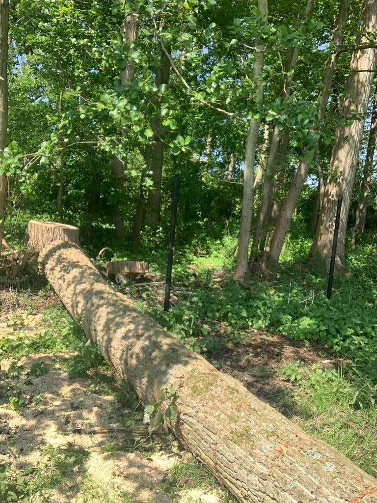 Vellen van bomen, Tuin en Terras, Ophalen