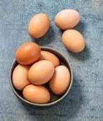 Verse scharreleieren, Dieren en Toebehoren