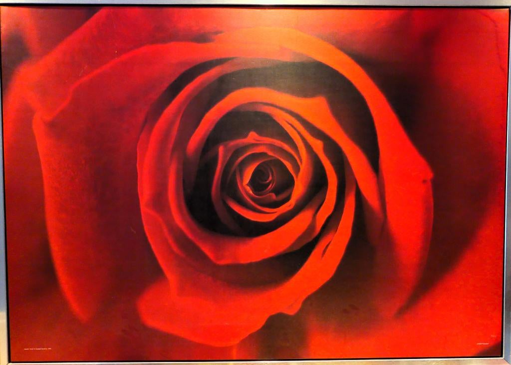 IKEA fotokader roos 140x100, Ophalen, Gebruikt