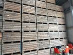 Fruitkisten paloxen paletboxen, Zakelijke goederen, Landbouw | Aardappelen, Groenten, Fruit en Vlees, Ophalen