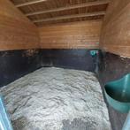 À la recherche d'une aide stable 1502 Halle